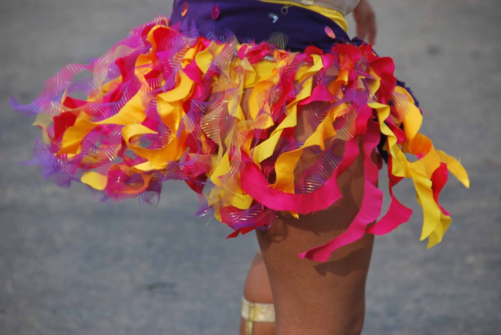 Falda de carnaval. Copyright Hernando Reyes