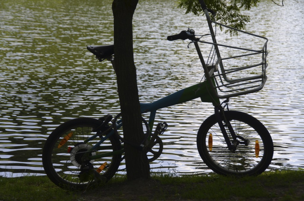 Bicicleta en el parque. Copyright Hernando Reyes