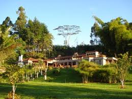 Finca-cafetero