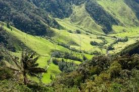 Valle-de-Cocora