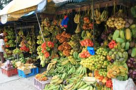 frutas-de-colombia