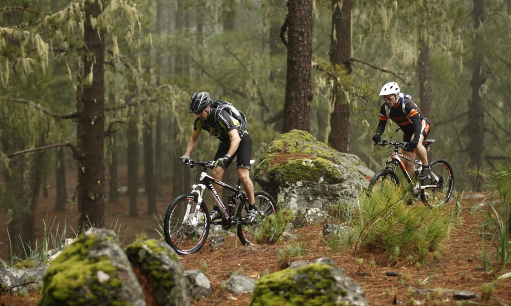 Circuito en bicicleta por la isla