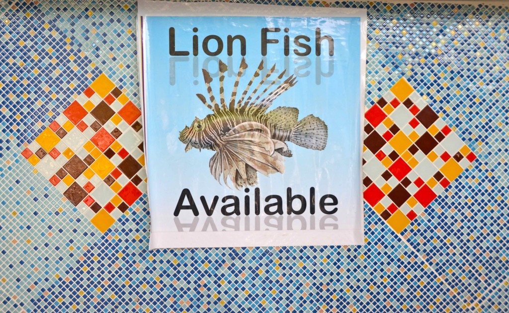 Dibujo del Lion Fish en Captain´s Goodlife. Copyright hernando Reyes