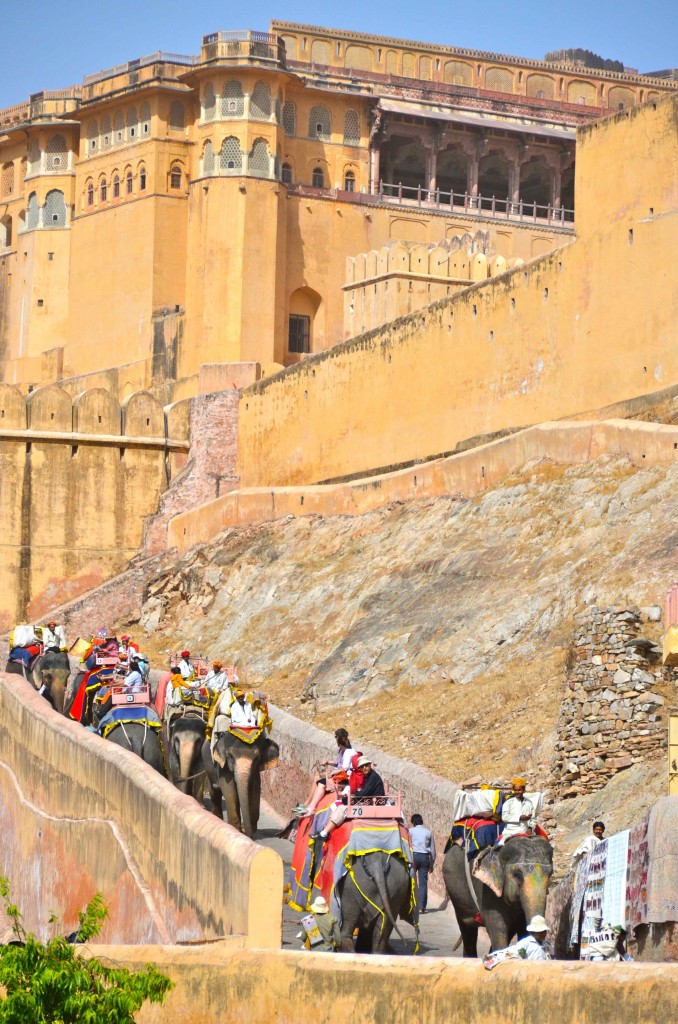 Fuerte Amber. Jaipur, India. Copyright Hernando Reyes