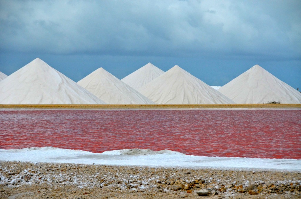 Imagen de las salinas del sur de Bonaire y sus aguas rosadas. Antillas Holandesas. Copyright Hernando Reyes