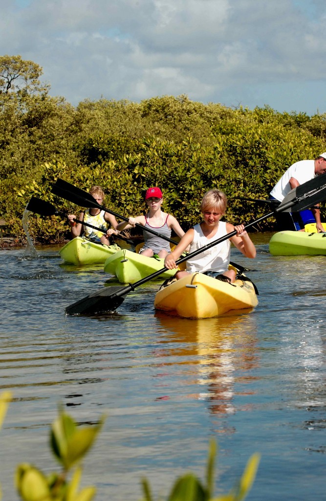 Kayak en los manglares del sur de la isla. Foto cedida a Altum por la oficina de Turismo de Bonaire